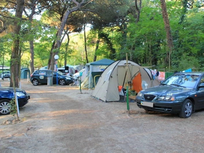 zobacz camping - zdjęcie 11