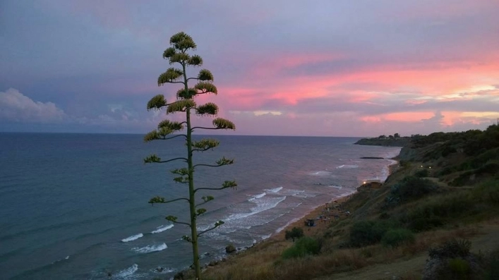 zobacz camping - zdjęcie 19