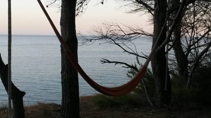 zobacz camping - zdjęcie 18