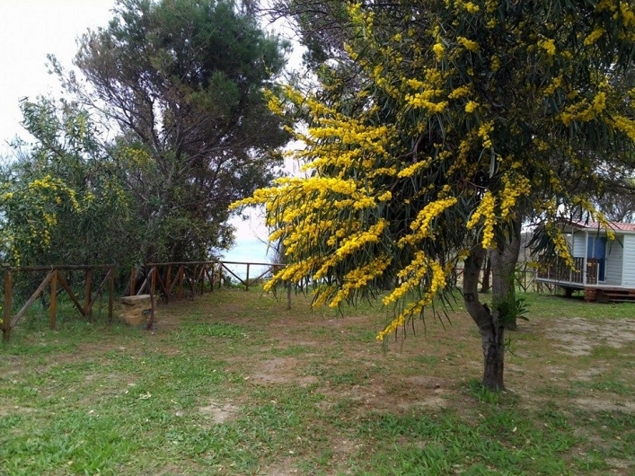 Pizzo Greco Club Naturista - zdjęcie 4