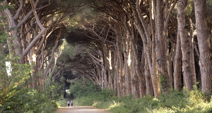 zobacz camping - zdjęcie 15