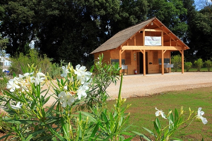 zobacz camping - zdjęcie 11