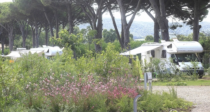 Podere Pianetti - zdjęcie 1