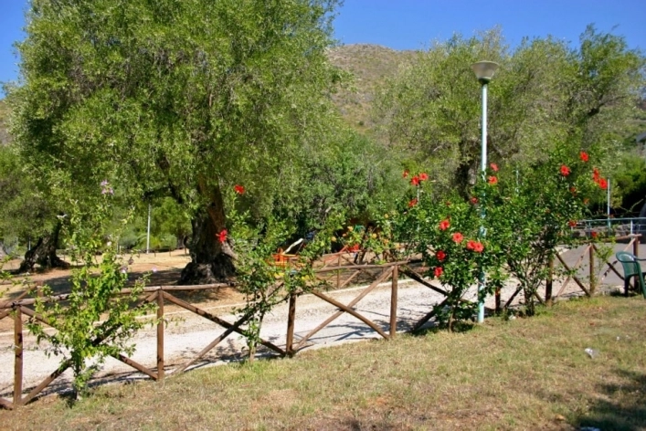 zobacz camping - zdjęcie 13