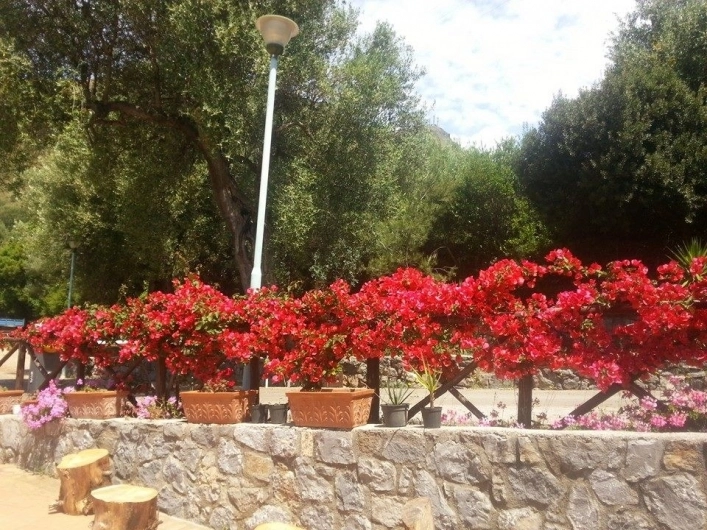 Porticello Village - zdjęcie 4