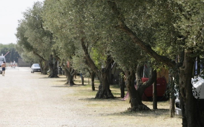 zobacz camping - zdjęcie 21