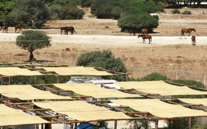 zobacz camping - zdjęcie 16