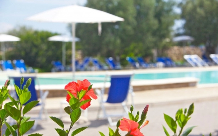 zobacz camping - zdjęcie 13