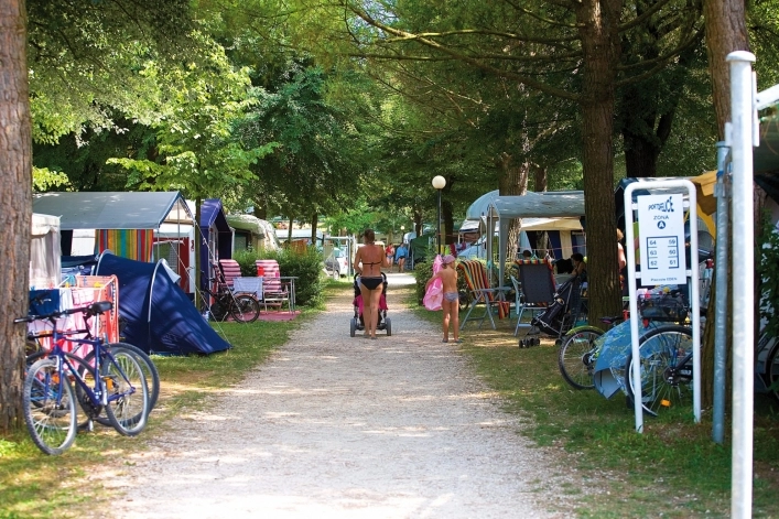 zobacz camping - zdjęcie 8