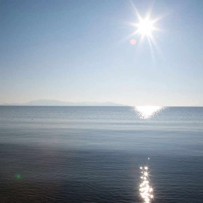 zobacz camping - zdjęcie 15