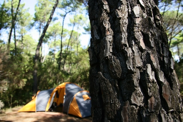 zobacz camping - zdjęcie 6