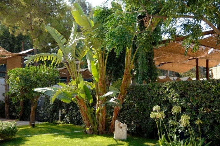 zobacz camping - zdjęcie 21