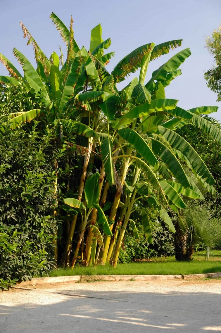 zobacz camping - zdjęcie 6