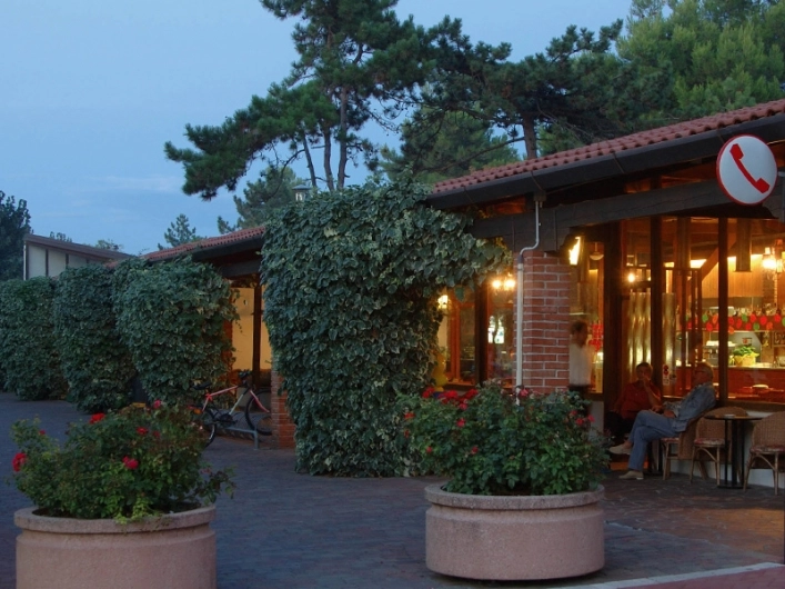 zobacz camping - zdjęcie 15