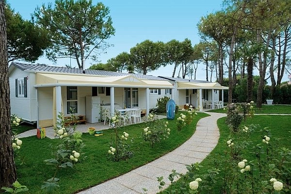 zobacz camping - zdjęcie 9