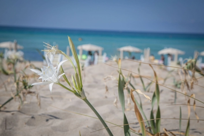 zobacz camping - zdjęcie 21