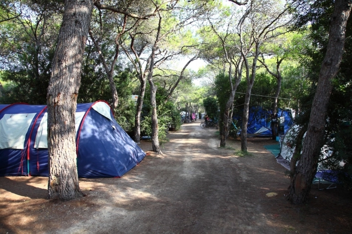 zobacz camping - zdjęcie 20