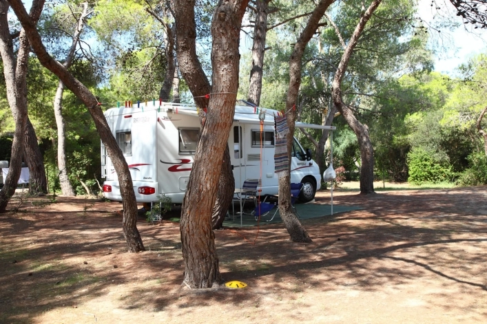 zobacz camping - zdjęcie 18