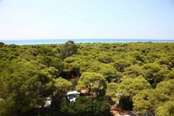 zobacz camping - zdjęcie 17