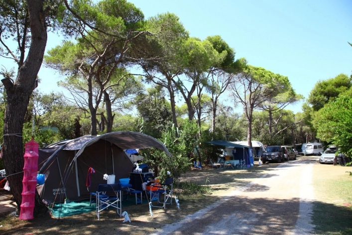 zobacz camping - zdjęcie 12