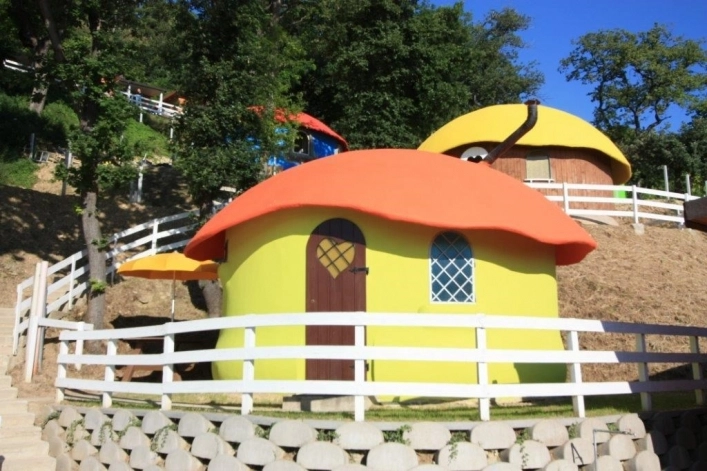 zobacz camping - zdjęcie 14