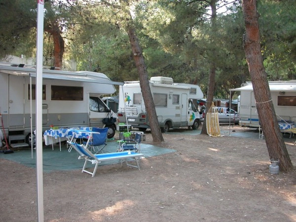 zobacz camping - zdjęcie 23