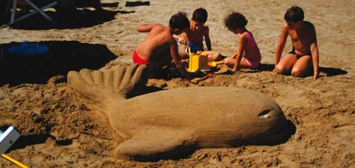 zobacz camping - zdjęcie 18