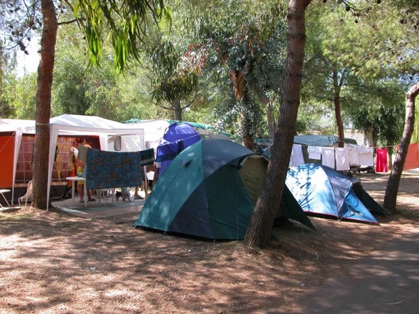 zobacz camping - zdjęcie 15