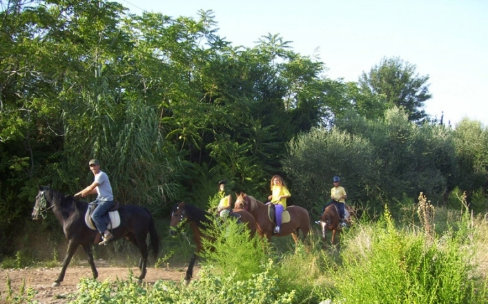 zobacz camping - zdjęcie 14