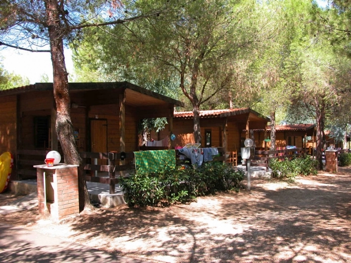 zobacz camping - zdjęcie 12