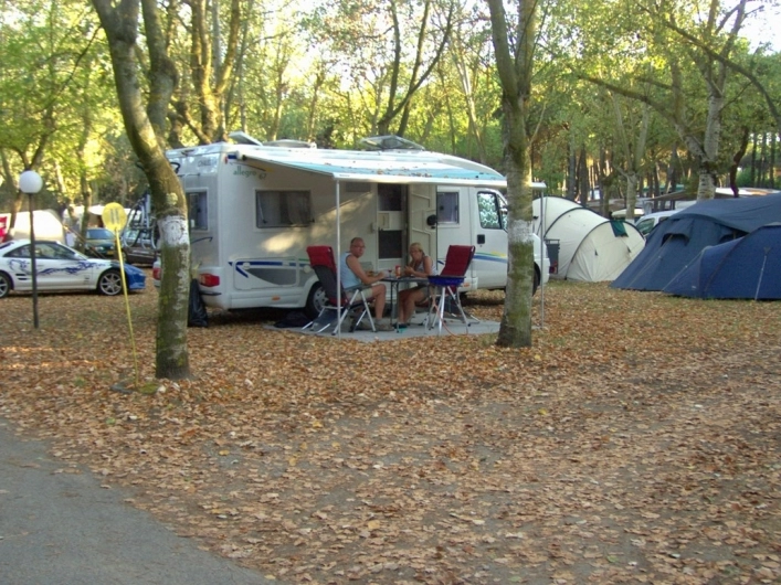 zobacz camping - zdjęcie 16
