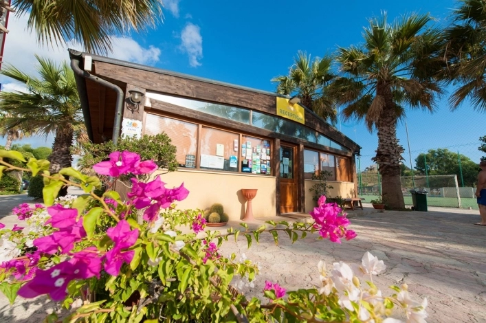 zobacz camping - zdjęcie 17