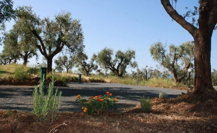 zobacz camping - zdjęcie 19