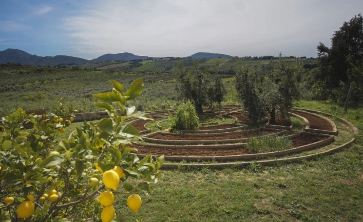 zobacz camping - zdjęcie 18