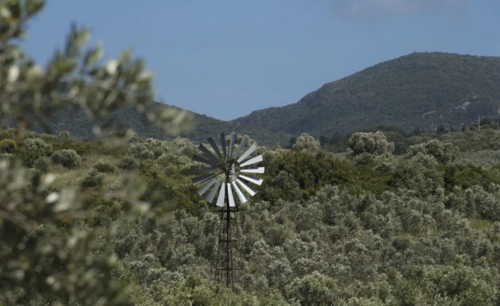 zobacz camping - zdjęcie 17