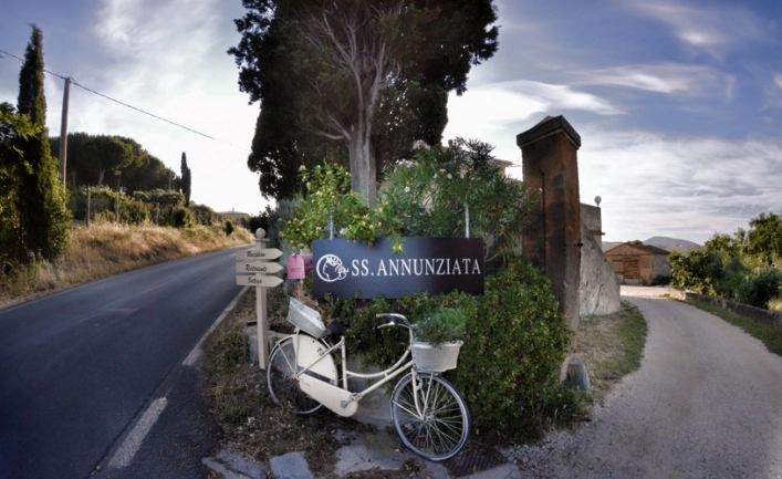 zobacz camping - zdjęcie 15