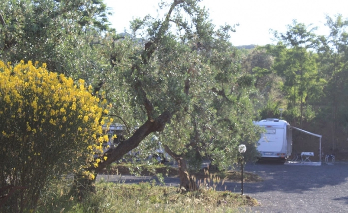 zobacz camping - zdjęcie 9