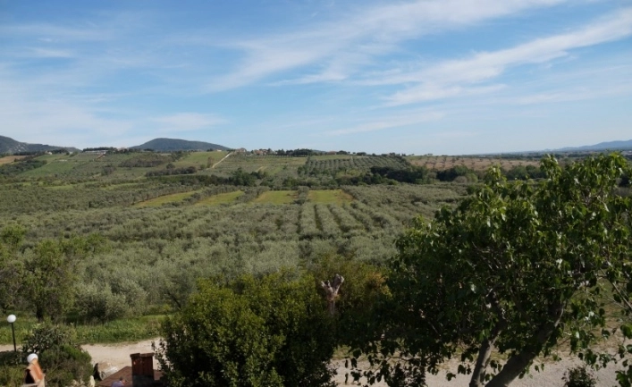 SS. Annunziata - zdjęcie 3