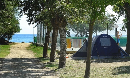 zobacz camping - zdjęcie 22
