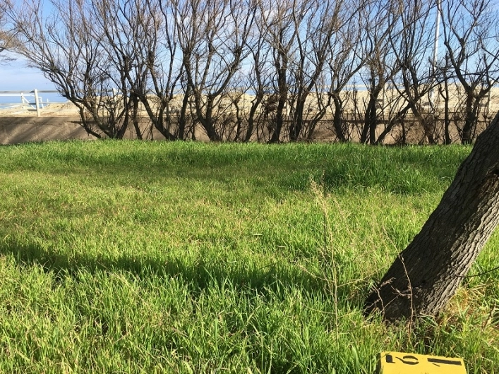 zobacz camping - zdjęcie 18