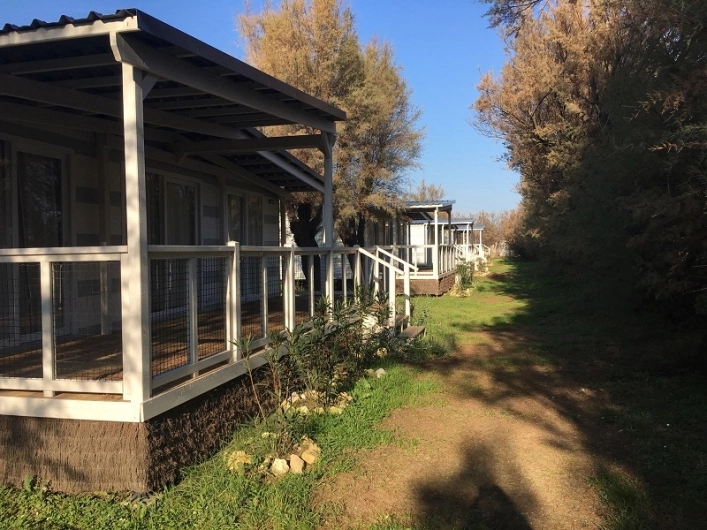 zobacz camping - zdjęcie 9