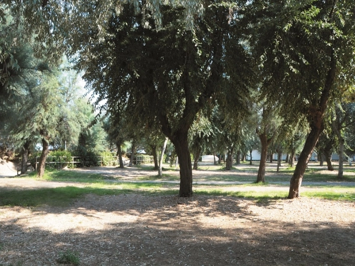 zobacz camping - zdjęcie 5