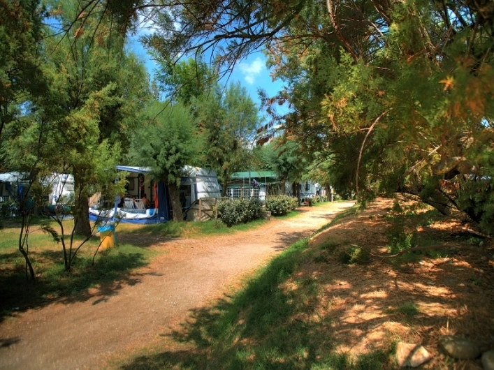zobacz camping - zdjęcie 2