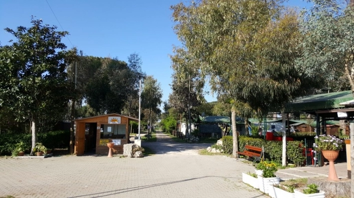 zobacz camping - zdjęcie 13