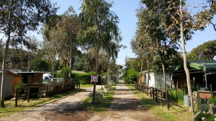 zobacz camping - zdjęcie 9