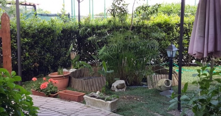 zobacz camping - zdjęcie 8