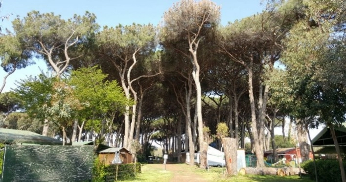 Sunset Camping Club - zdjęcie 2