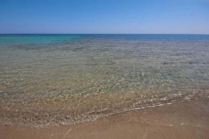 zobacz camping - zdjęcie 18