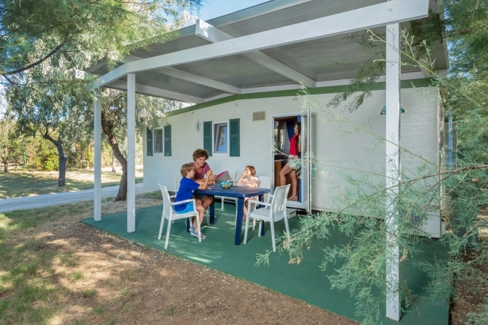 zobacz camping - zdjęcie 7