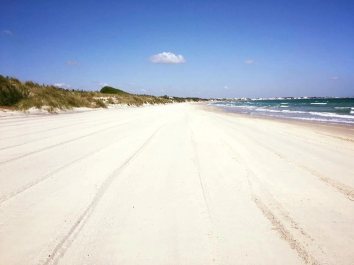 zobacz camping - zdjęcie 6